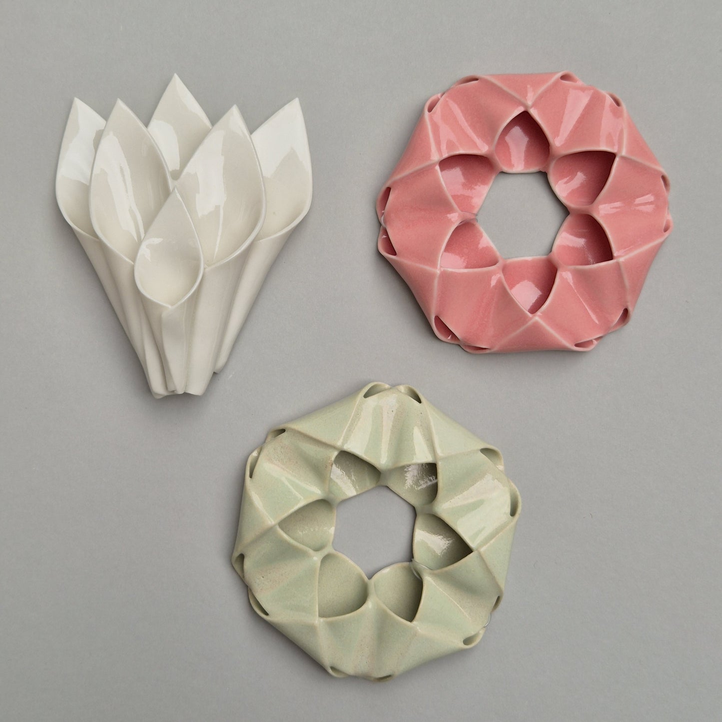 Tulipan
