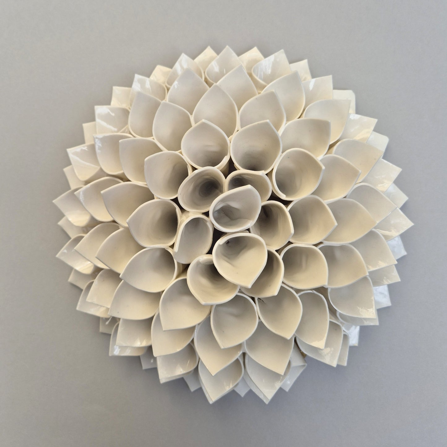 Kæmpe stor dahlia