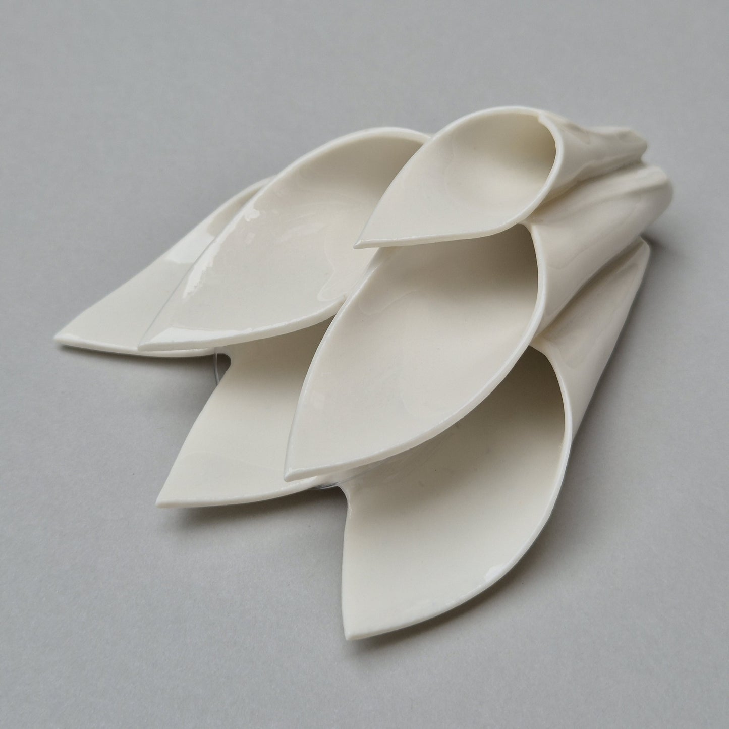 Tulipan