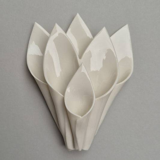 Tulipan