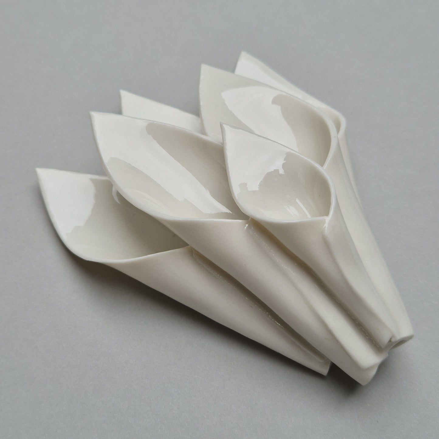 Tulipan